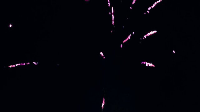 fireworks in the sky