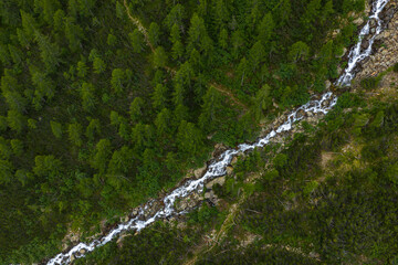Aerial view of a glacier river winding through dense pine forest in the Italian Alps, showcasing...