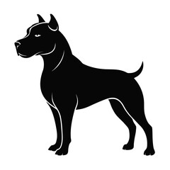 black dog isolated on white