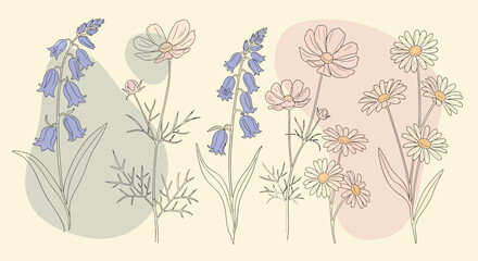 Delicate Floral Line Art Bluebells Cosmos and Daisies with Pastel Accents.
