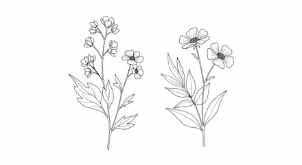 Delicate floral line art featuring two distinct botanical arrangements with detailed leaves.