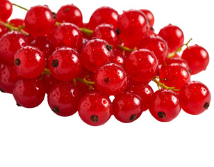 Red Currants with Water Droplets – Juicy and Fresh on White Background
