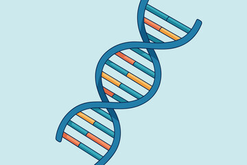 DNA double helix structure vector. Genetic molecule strand. Chromosome science research. Genome sequencing. Biotechnology, molecular biology, gene editing, flat illustration