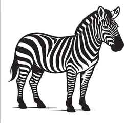 the zebra silhouette vector art illustration