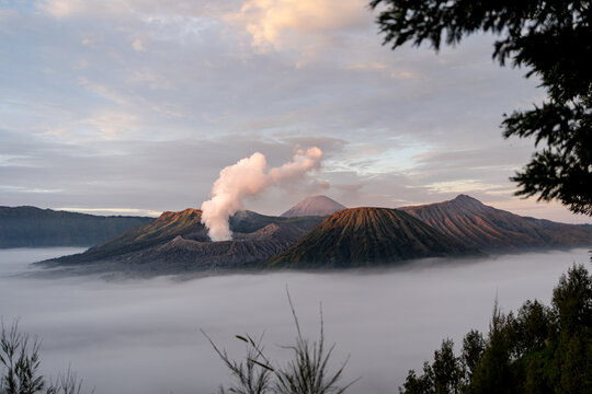 View of the majestic Mount Bromo Volcano piercing through a sea of ethereal mist under a pastel sky, a breathtaking vista, Mount Bromo, East Java, Indonesia.