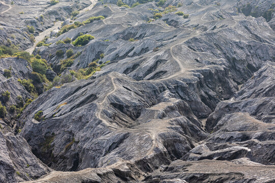 View of rugged, grey volcanic terrain carved by time, with sparse green vegetation clinging to life amidst the harsh landscape, Mount Bromo Volcano, East Java, Indonesia.