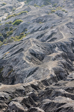 View of winding trails cutting through the rugged, grey terrain of a volcano landscape under the soft daylight, Mount Bromo Volcano, East Java, Indonesia.
