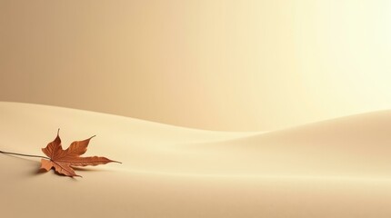 Sand surface with dried leaf — horizontal neutral backdrop for product presentation and branding.