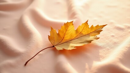 Pastel velvet surface with leaf — horizontal soft fall scene for branding and marketing.