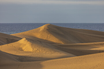 Sand dunes in the Maspalomas area of ​​Gran Canaria Spain