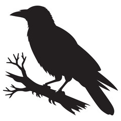 Crow sitting on dry tree branch silhouette isolated on white background. Icon vector illustration design.