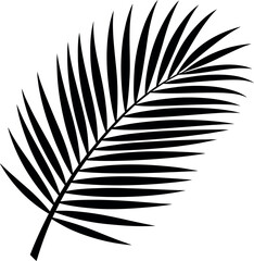 Fototapeta premium Palm Leaves silhouette on white background