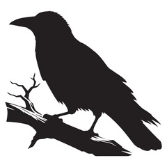 Crow sitting on dry tree branch silhouette isolated on white background. Icon vector illustration design.