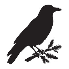 Crow sitting on dry tree branch silhouette isolated on white background. Icon vector illustration design.