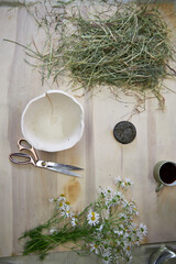 Top view of a flower arranging scene with fresh chamomile, scissors, ceramic vase, hay, and tea cup...