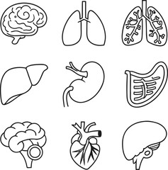 Medical Human Organs Icon Set Vector Illustration Art 
