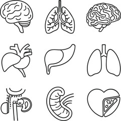 Medical Human Organs Icon Set Vector Illustration Art 