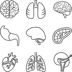 Medical Human Organs Icon Set Vector Illustration Art 