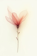 Zarte Blume mit durchscheinenden Blättern minimalistisch auf hellem Hintergrund fotografiert