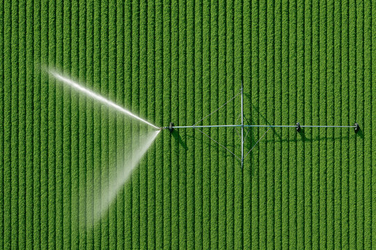 Green field irrigation system watering crops with water spray aerial view agriculture