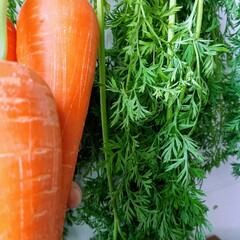 carrots and green leafs