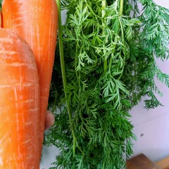 carrots and leaves