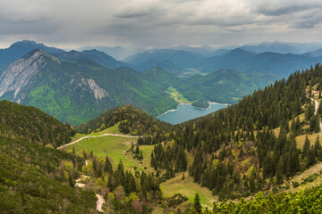 Herzogstand view to the Walchensee lake with a view though the forest trees