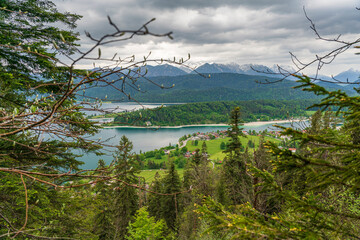 Herzogstand view to the Walchensee lake with a view though the forest trees