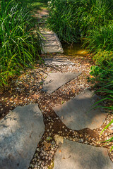Detail of garden path with stones with bark mulch and native plants. Landscaping and gardening...