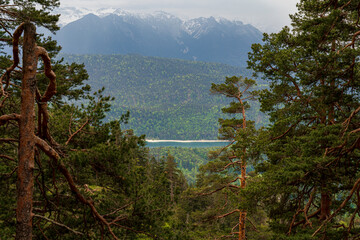 Herzogstand view to the Walchensee lake with a view though the forest trees