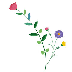 Right-Side Wildflower Border   wedding vector element, perfect for invitations, decor, and digital design. High-quality AI file for creative projects.