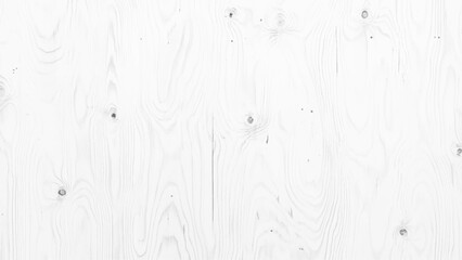 Abstract wooden background. White wood texture with empty space. White wood texture pattern background. 