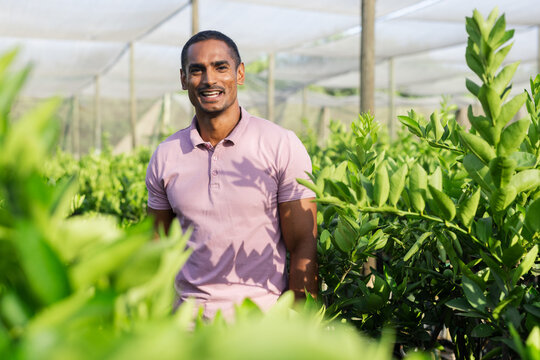 Asian man tending potted plants in nursery shade net with wooden poles and irrigation tubing - Powered by Adobe