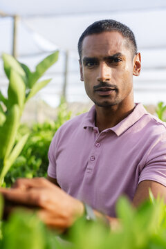 Asian man standing among rows of potted plants in greenhouse, inspecting growth on tablet