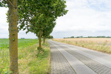 small street through the landscape of Mecklenburg Western Pomerania on a bright summer day
