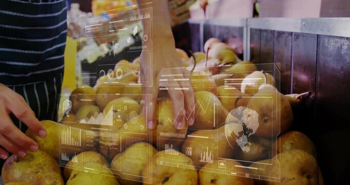 Grocery customer scanning pears and activating data panels for ripeness and picking spearhead fruit