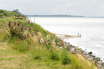 Steep coast on the Baltic Sea in Mecklenburg, Western Pomerania