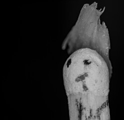 Black and white macro of a matchstick with human-like face