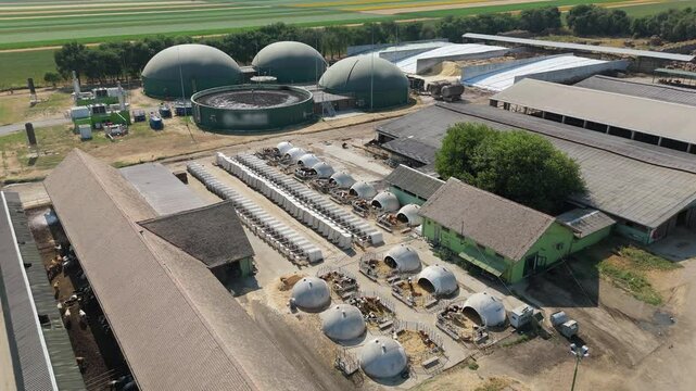 Aerial view of biogas plant for biomethane production	with livestock farm.