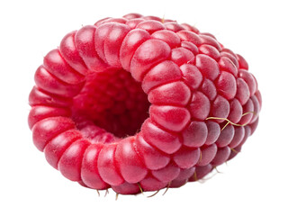 High Detail Raspberry with Hollow Core