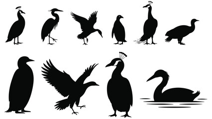 Set of silhouette birds, ducks, penguin, wildlife