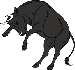 Aggressive Black Bull Charging Forward

