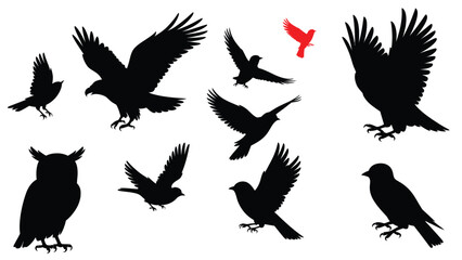 set of bird silhouettes in various flying and standing poses