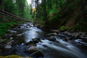 a smooth water stream of a river in a gorge with trees