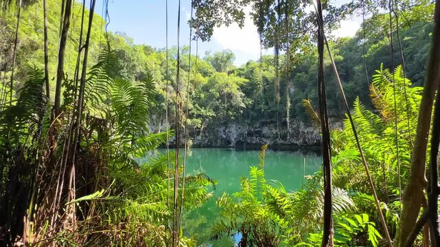 Woman in cenote reflecting lush tropical vegetation in Los Tres Ojos, Dominican Republic, video 4k real time