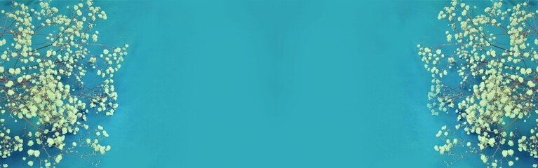 Eucalyptus branches on blue background with space for text
