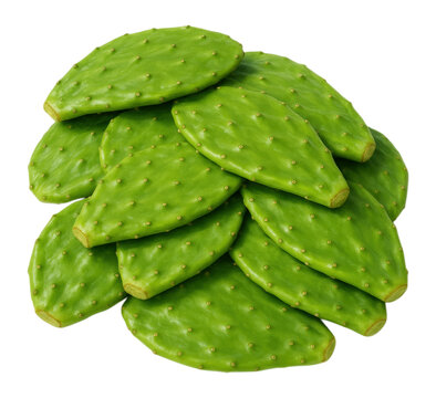 Fresh Green Prickly Pear Cactus Pads, Isolated on Transparent and White Background