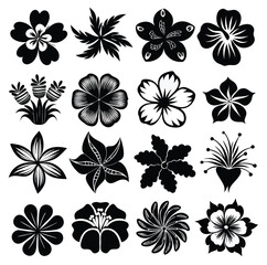 Collection of 25 detailed black and white hibiscus flower illustrations isolated on white background