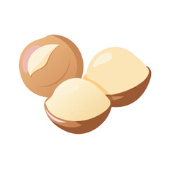 Three macadamia nuts illustration isolated on transparent background