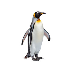 Naklejka premium Majestic Penguin Portrait: An elegant penguin stands tall, showcasing its striking plumage and dignified posture, a symbol of the beauty of the natural world.